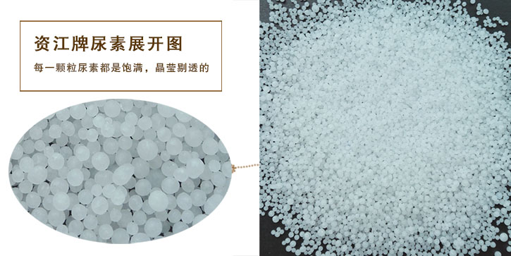 尿(niao)素生産(chan)廠家