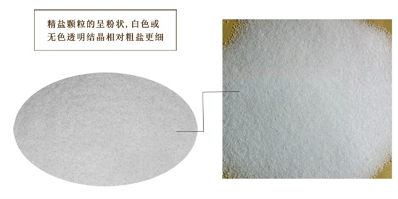 精(jing)鹽特寫(xie)